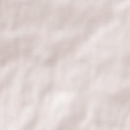 La Chapelle-Saint-Laurent Terrain Map