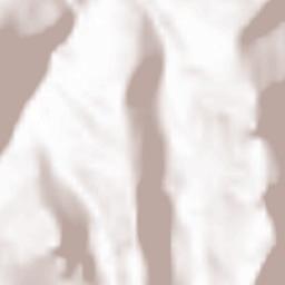 Region Engiadina Bassa / Val Müstair Terrain Map