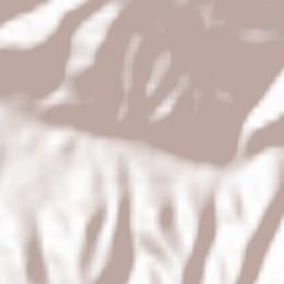 Brădețelu Terrain Map