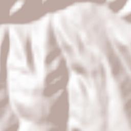 Lăpușna Terrain Map