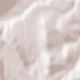 Borleşti Terrain Map