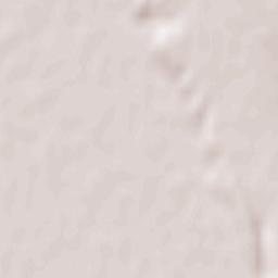 Costişa Terrain Map