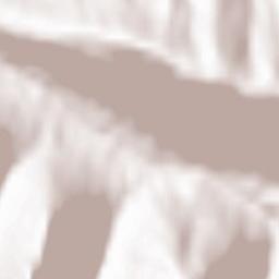 Kartitsch Terrain Map