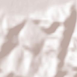 Comuna Floreşti Terrain Map