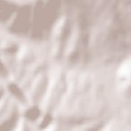 Căcuciu Terrain Map