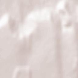 Dămieneşti Terrain Map