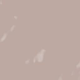 Parcines Terrain Map