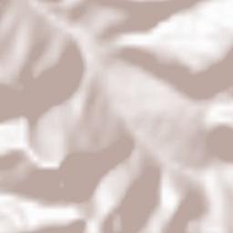 San Vigilio Terrain Map