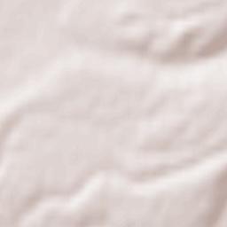 Municipiul Beiuş Terrain Map