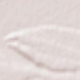 Comuna Curăţele Terrain Map