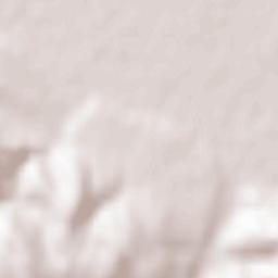 Comuna Blăgeşti Terrain Map