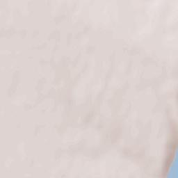 Parutyne Terrain Map