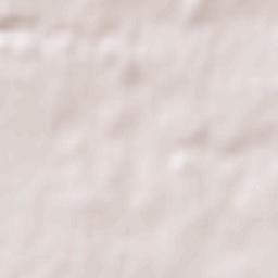 Beaulieu-sous-la-Roche Terrain Map