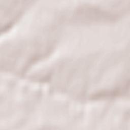 Bazoges-en-Pareds Terrain Map