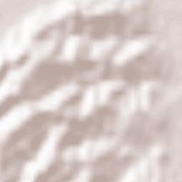 Gornja Radgona Terrain Map