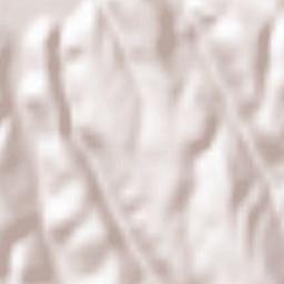 Comuna Şoimi Terrain Map