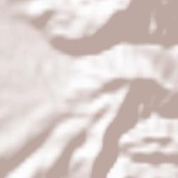 Budureasa Terrain Map