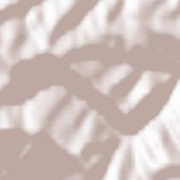 Valea Ierii Terrain Map