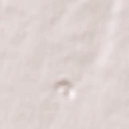 Les Clouzeaux Terrain Map