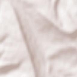 Département de Saône-et-Loire Terrain Map