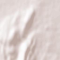 Sennecey-le-Grand Terrain Map