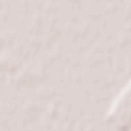 Turnišče Terrain Map