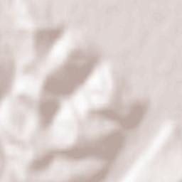 Tărcaia Terrain Map