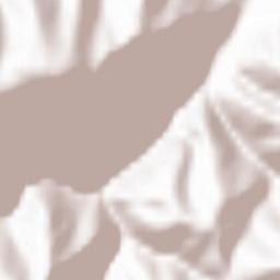 Măguri-Răcătău Terrain Map