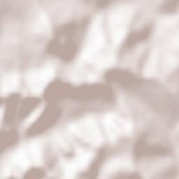 Mura Mică Terrain Map