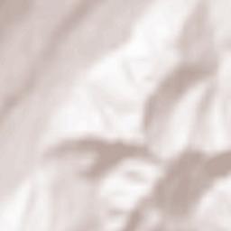 Călugăreni Terrain Map