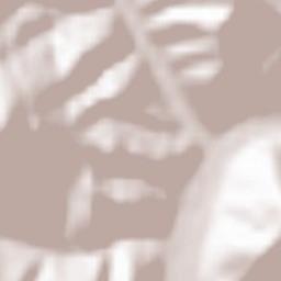 Valea Rece Terrain Map