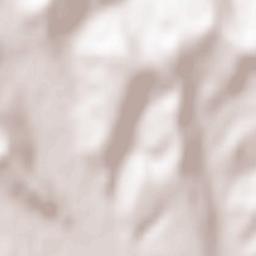 Dragomireşti Terrain Map