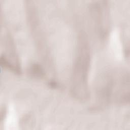 Pușcași Terrain Map