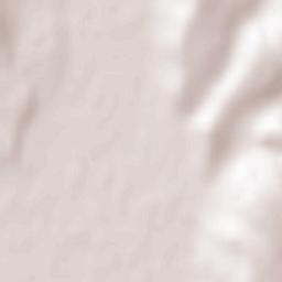 Municipiul Vaslui Terrain Map