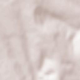 Pădureni Terrain Map