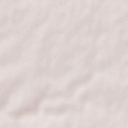 Sainte-Flaive-des-Loups Terrain Map