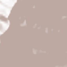 Frutigen-Niedersimmental District Terrain Map