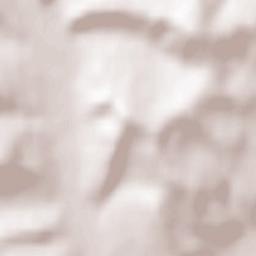 Voiniceni Terrain Map