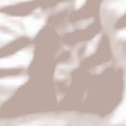 Comuna Ghimeş-Făget Terrain Map