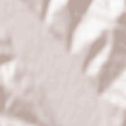 Comuna Pârjol Terrain Map