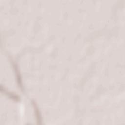 Săucești Terrain Map