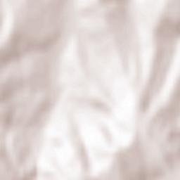 Poieneşti Terrain Map