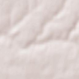 La Chapelle-Achard Terrain Map