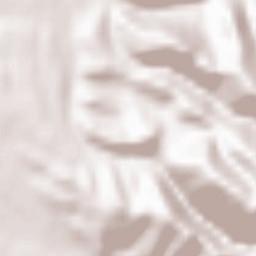 Pietroasa Terrain Map