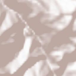 Comuna Pietroasa Terrain Map