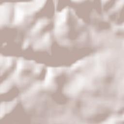 Băişoara Terrain Map