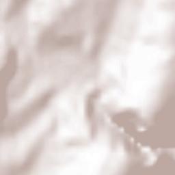 Petreştii de Jos Terrain Map