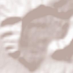 Măgherani Terrain Map