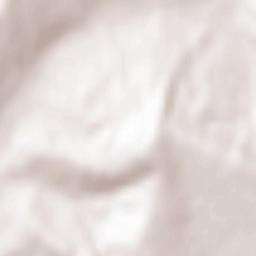 Olteneşti Terrain Map