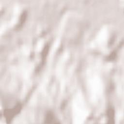 Feistritz ob Bleiburg Terrain Map